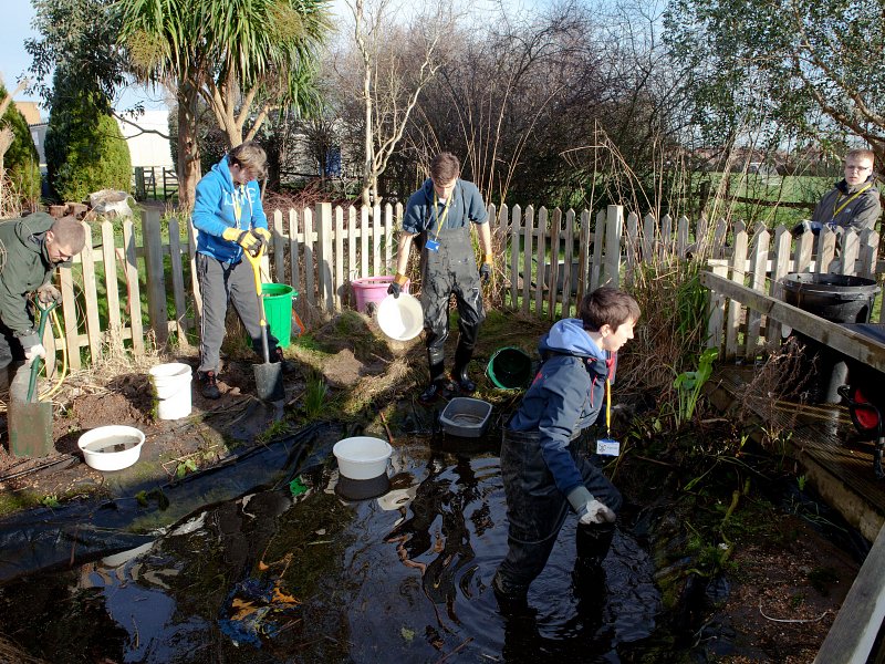 Pond Heroes